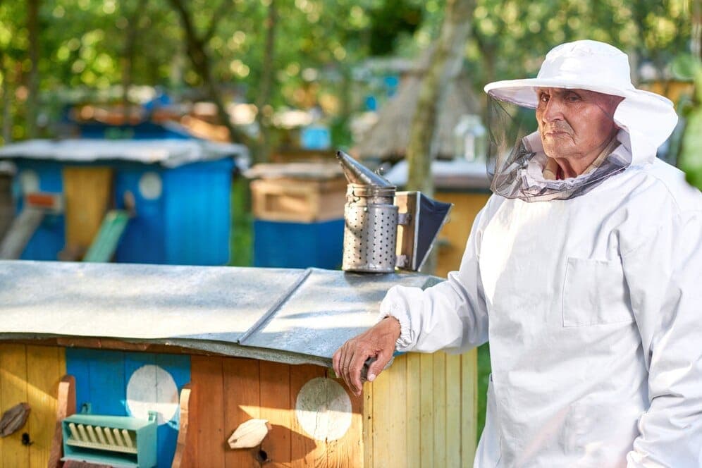 urban-beekeeping-the-buzz-on-city-hives-and-local-honey